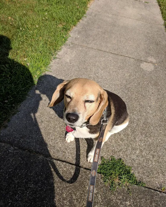 Crossroads Animal Care Center Picture 6