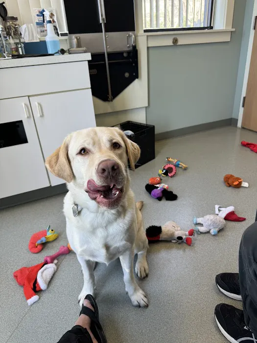Crossroads Animal Care Center Picture 4
