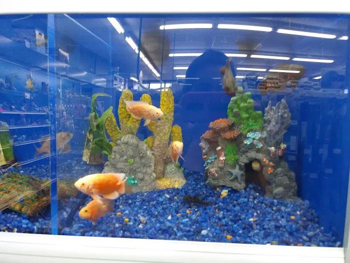 Pet Supermarket Picture 5