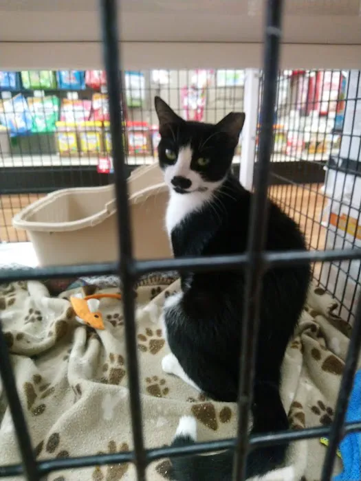Pet Supermarket Picture 6