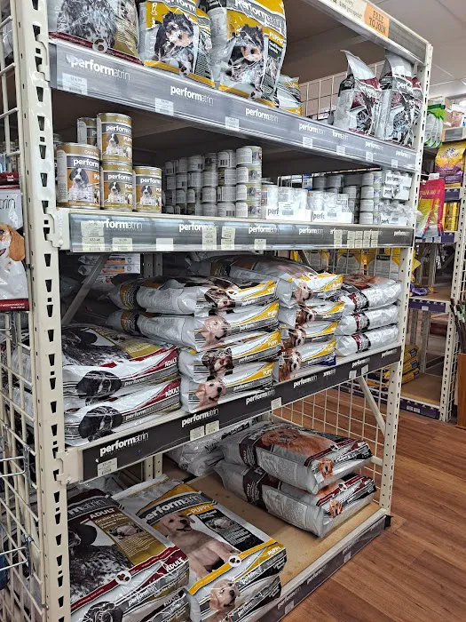 Pet Supermarket Picture 10