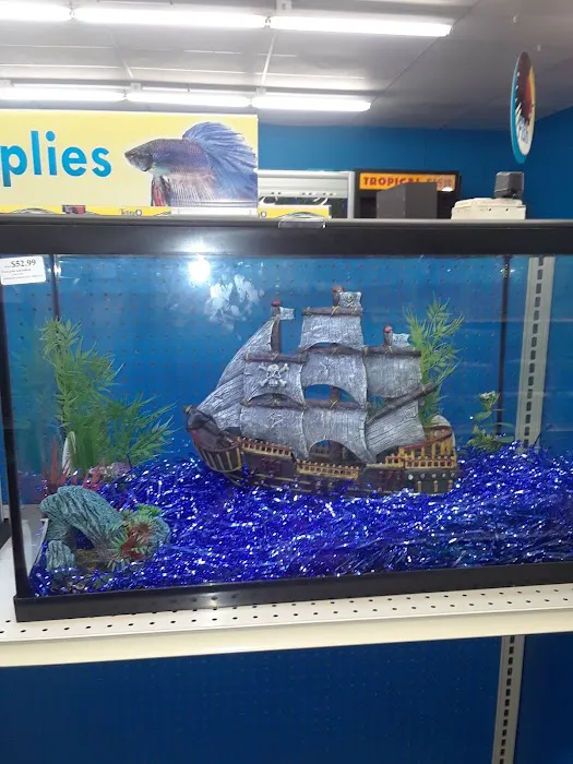 Pet Supermarket Picture 3