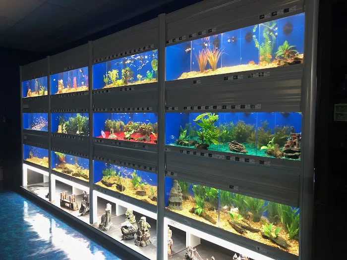 Pet Supermarket Picture 2