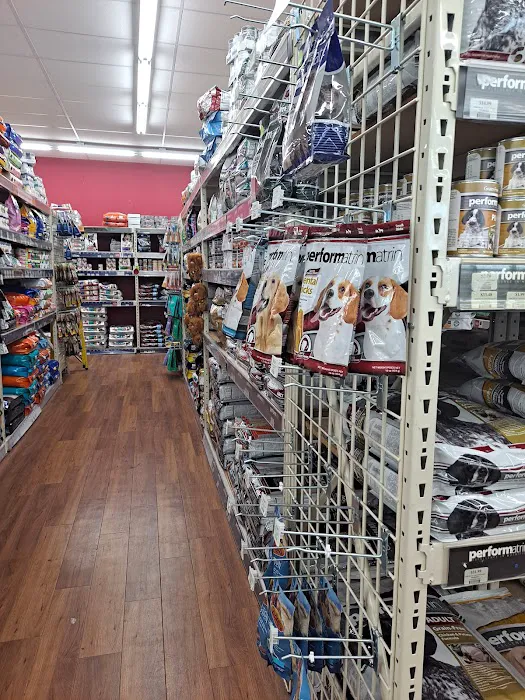 Pet Supermarket Picture 8