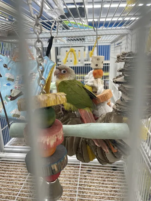 Pet Supermarket Picture 1