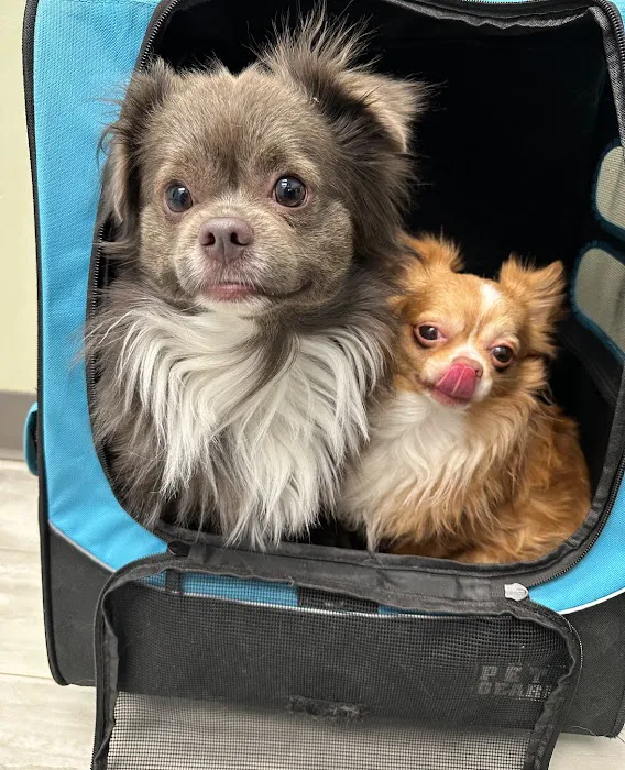 Pets R Family Animal Hospital Picture 9
