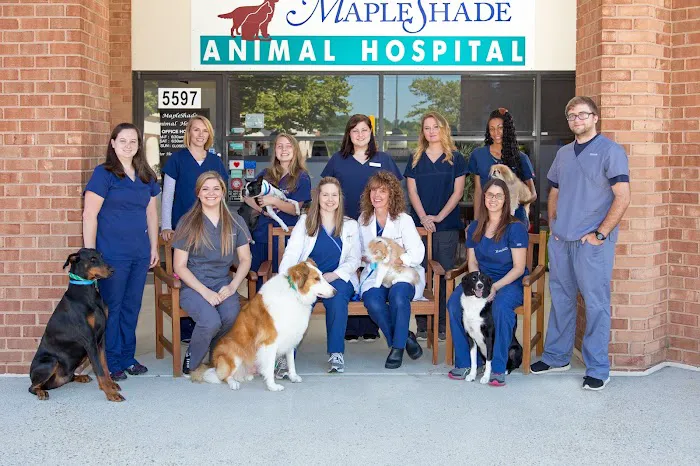 Mapleshade Animal Hospital Picture 5