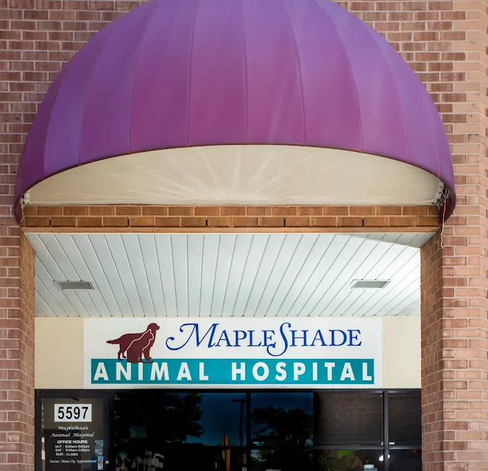 Mapleshade Animal Hospital Picture 10