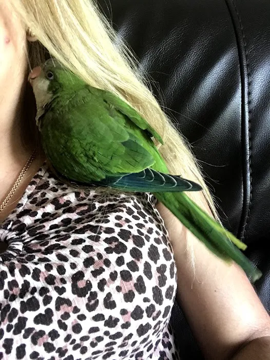 Bird Little Friend Pet Shop Picture 1