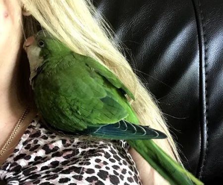 Bird Little Friend Pet Shop
