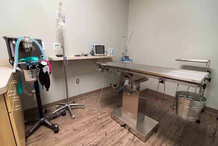 Staples Mill Animal Hospital Picture 10
