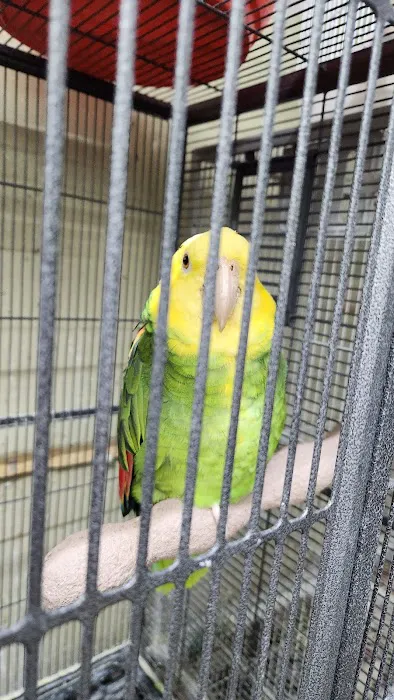 El Gallo Rojo Pet Shop Picture 7
