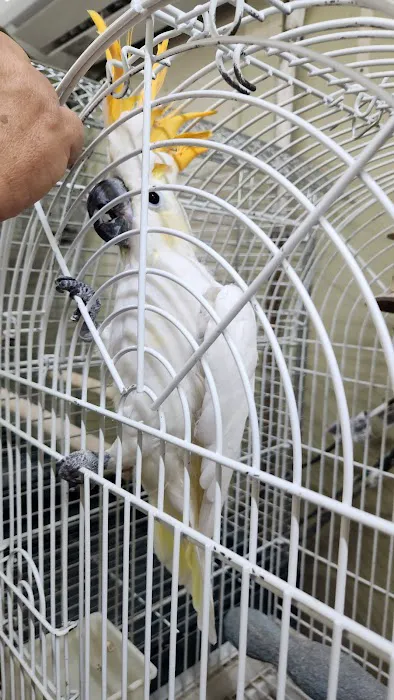 El Gallo Rojo Pet Shop Picture 1