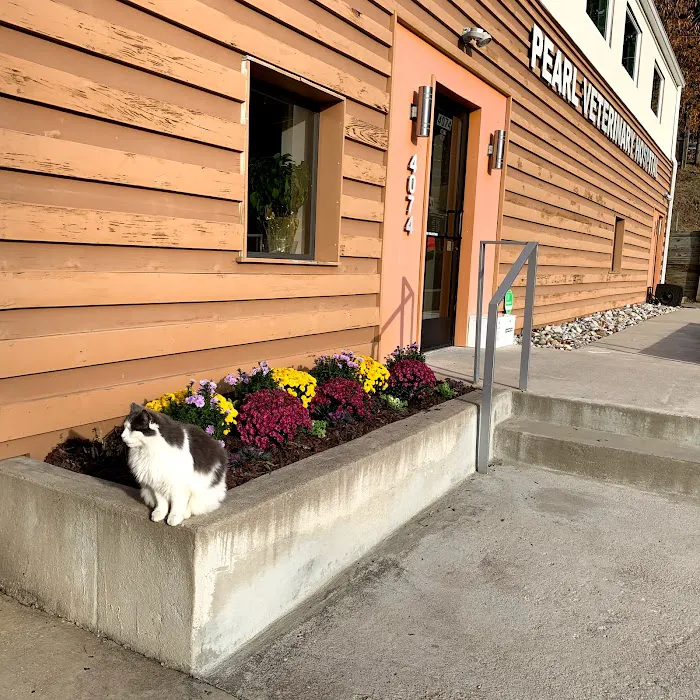 Pearl Veterinary Hospital Picture 9