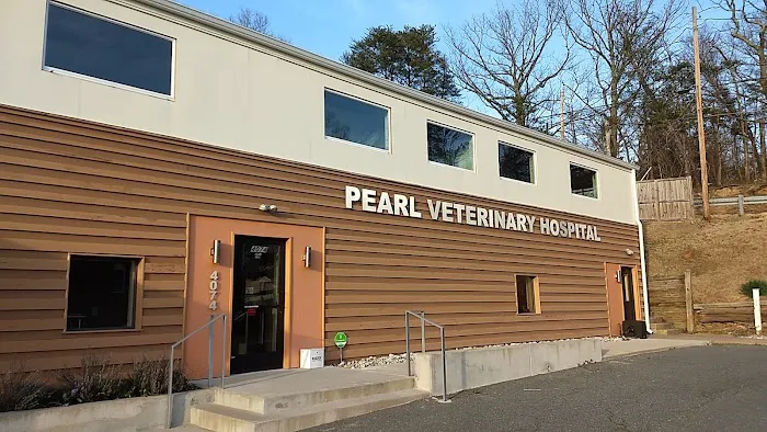 Pearl Veterinary Hospital Picture 10