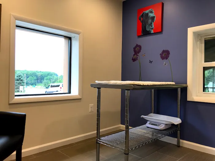 Pearl Veterinary Hospital Picture 4