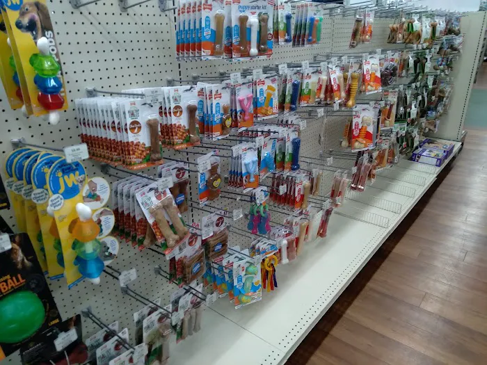 Pet Supermarket Picture 3