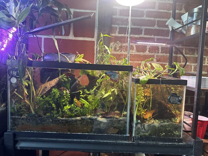 Pet Supermarket Picture 9