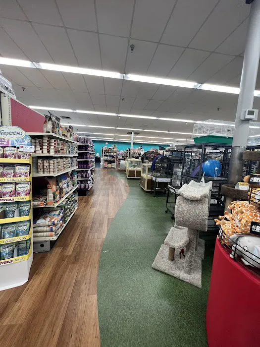 Pet Supermarket Picture 4