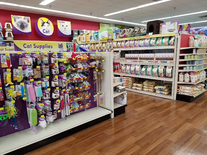 Pet Supermarket Picture 5
