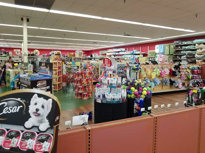 Pet Supermarket Picture 10