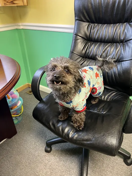 Blair Animal Hospital Picture 8