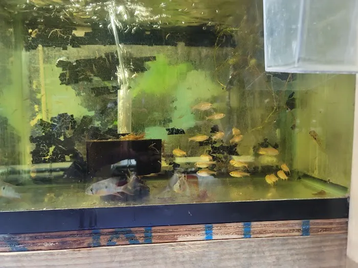 Westside Aquarium & Pets Picture 2
