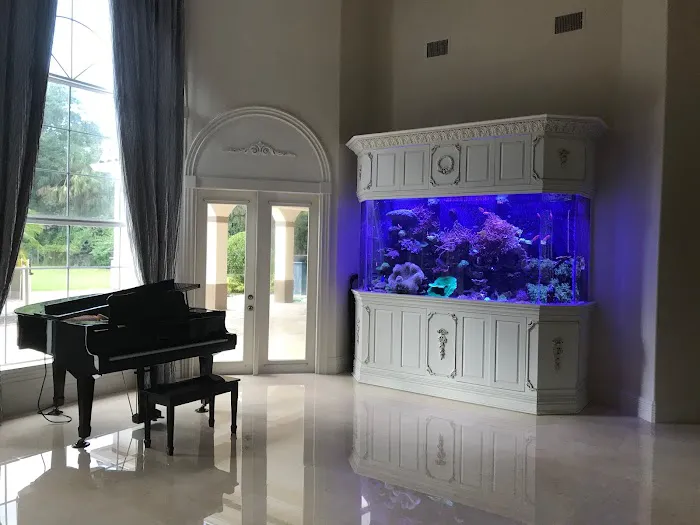 Creative Aquariums of Tampa Picture 4