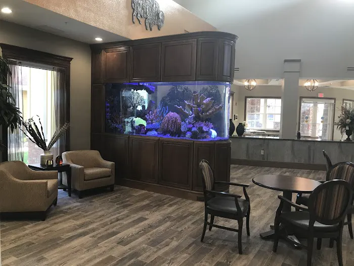 Creative Aquariums of Tampa Picture 10