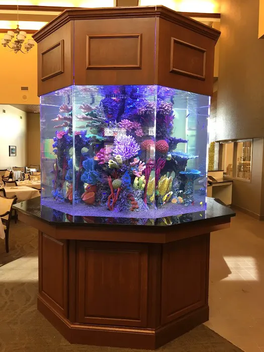 Creative Aquariums of Tampa Picture 5
