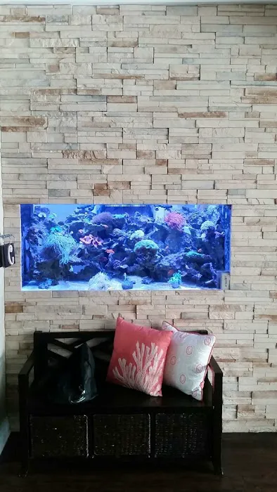 Creative Aquariums of Tampa Picture 8
