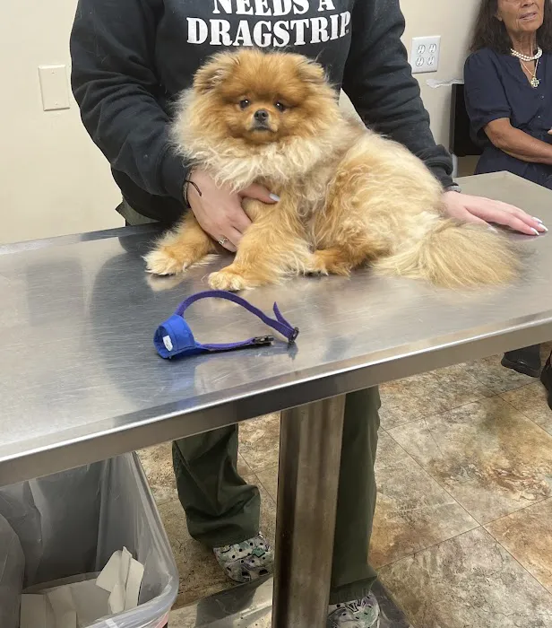 Station Plaza Veterinary Group Picture 7