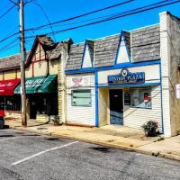 Station Plaza Veterinary Group ico