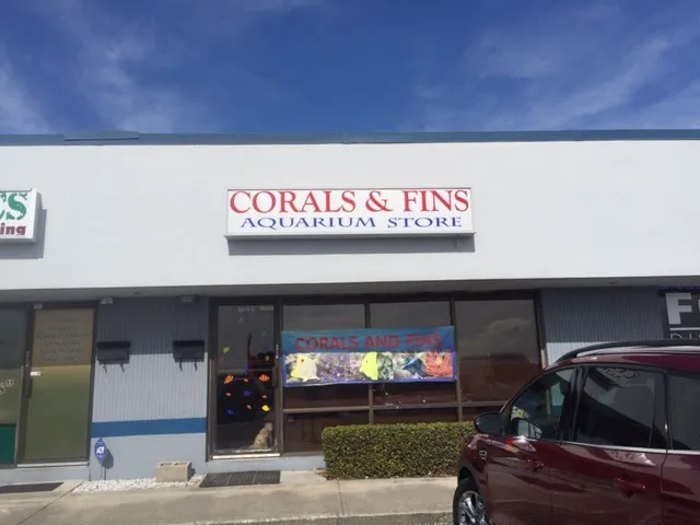 Corals and Fins Picture 3