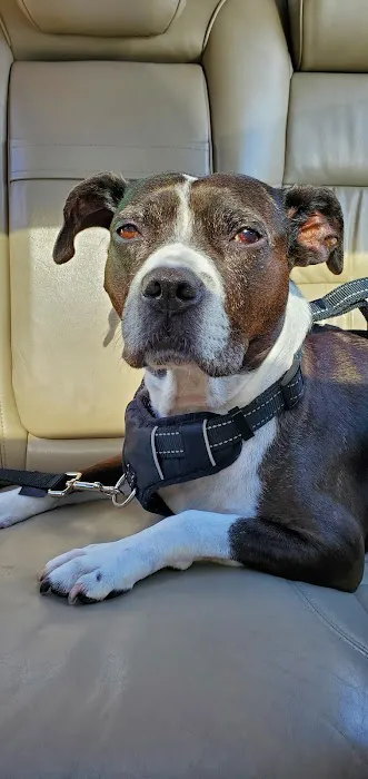 Brookville Animal Hospital Picture 6