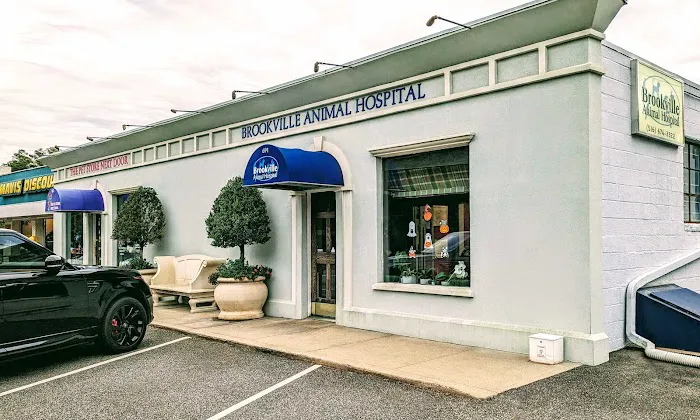 Brookville Animal Hospital Picture 8