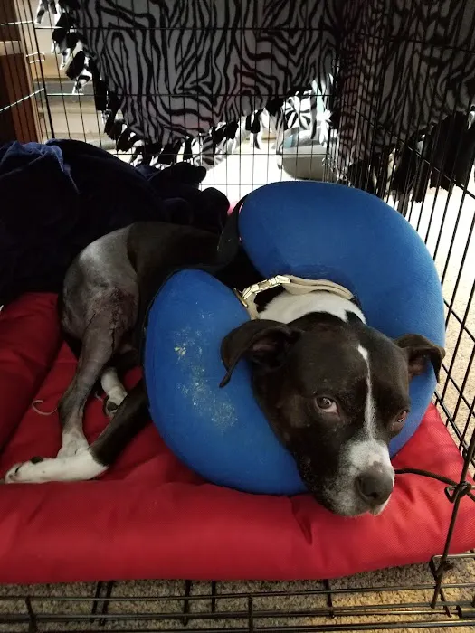 Brookville Animal Hospital Picture 5