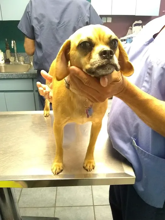 Brookville Animal Hospital Picture 1
