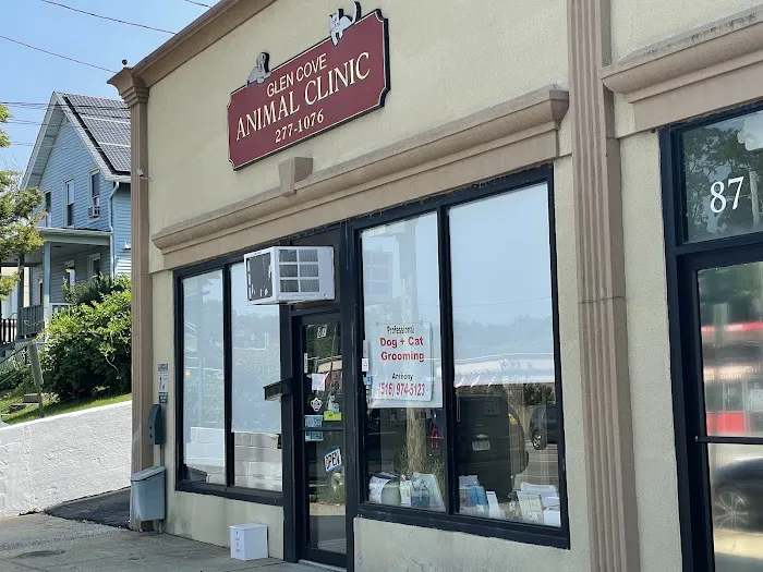 Glen Cove Animal Clinic Picture 4