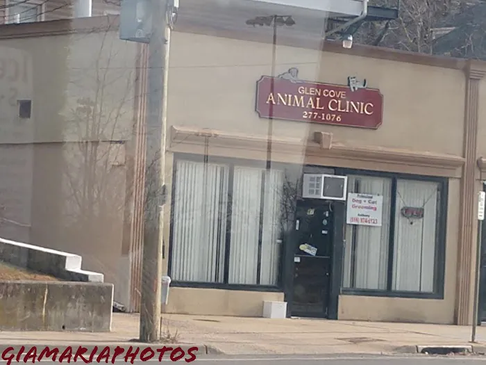 Glen Cove Animal Clinic Picture 7