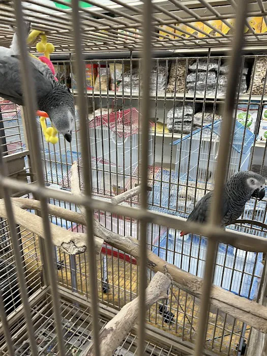 Birdsmart Picture 4