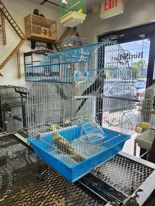 Birdsmart Picture 10