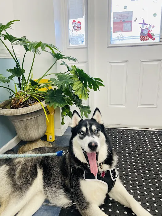 Meadowbrook Animal Hospital Picture 1