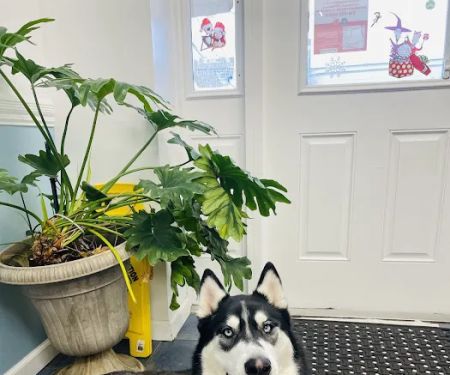 Meadowbrook Animal Hospital