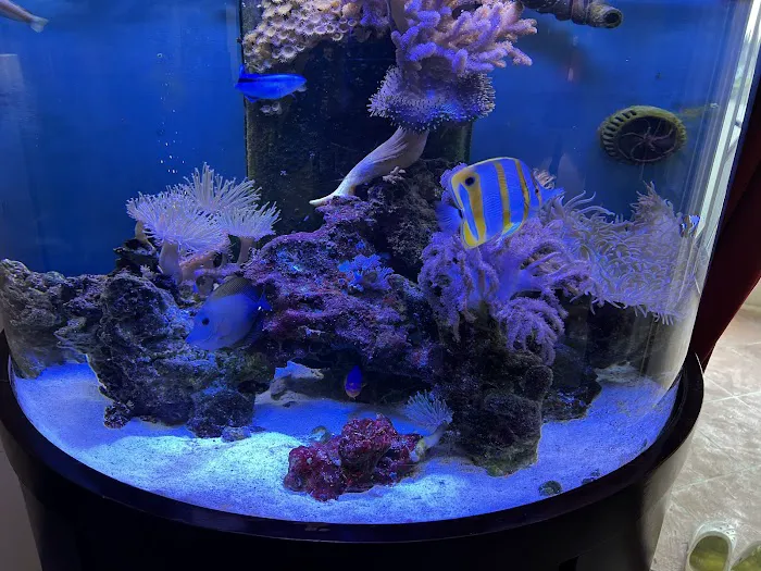 Creative Aquatics LLC Picture 7