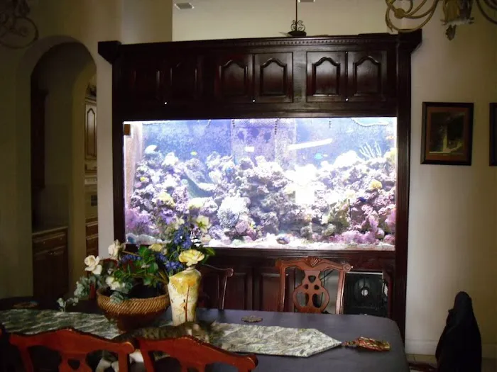 Creative Aquatics LLC Picture 1