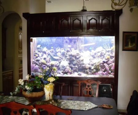 Creative Aquatics LLC