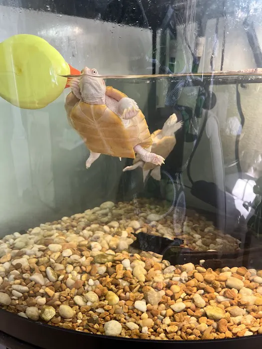Creative Aquatics LLC Picture 3