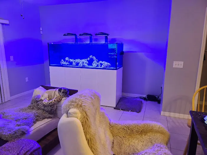 Creative Aquatics LLC Picture 8