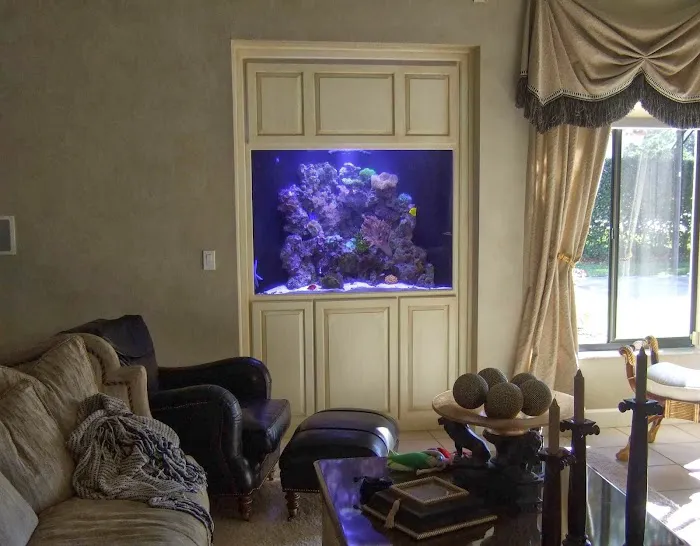 Creative Aquatics LLC Picture 9
